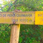 Teixo Vega de Logares