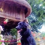 Летний дом Teixo