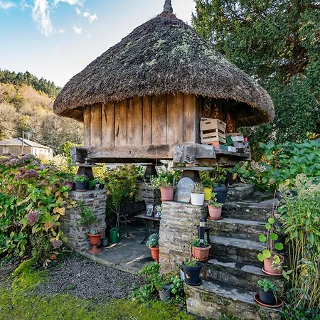 Teixo * Vega de Logares